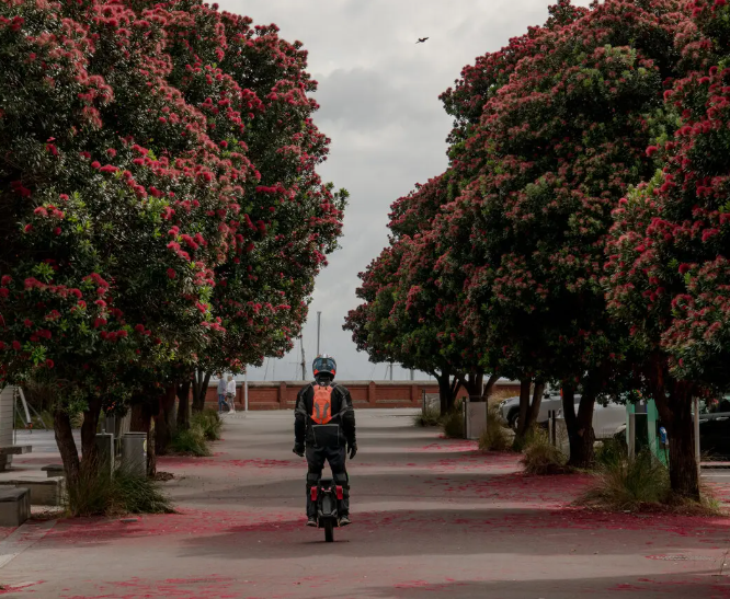 Yeni Zelandalılar Neden Avustralya'ya Taşınıyor? Daha Fazla Para, Daha İyi Bir Ortam.